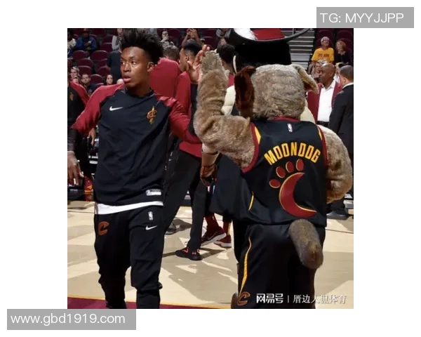 火箭队与马骑士的精彩对决直播平台全解析与观赛指南 火箭队与马骑士的精彩对决直播平台全解析与观赛指南