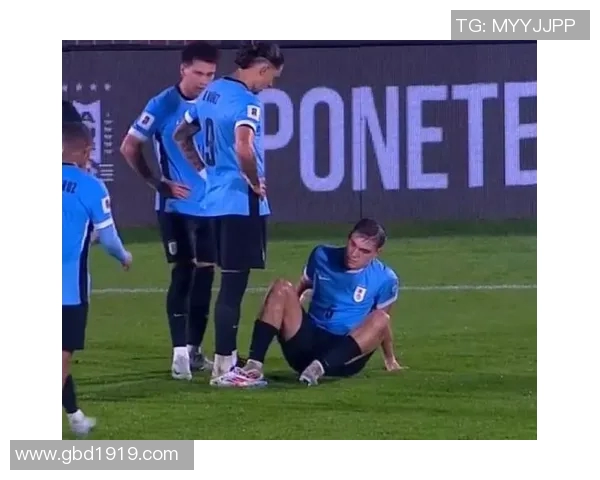 乌拉圭对厄瓜多尔精彩对决分析及赛前预测